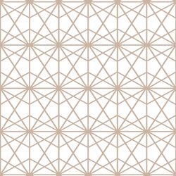 Terrarium in Sand on White
