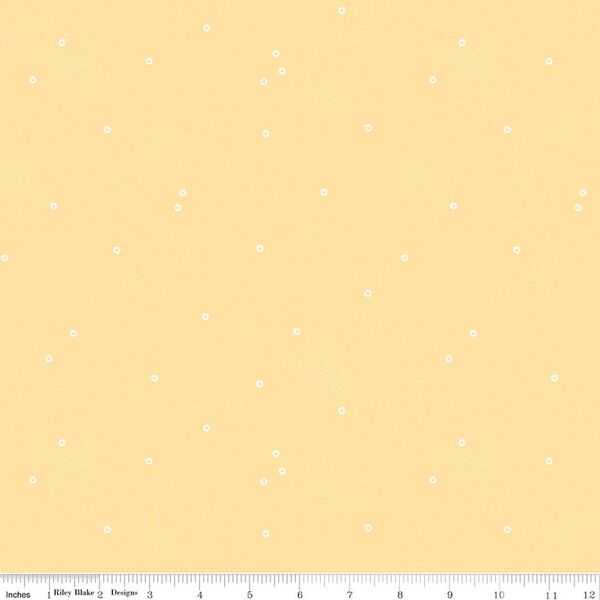 Dainty Daisy in Beehive