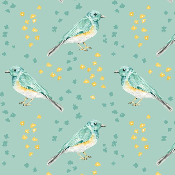 Songbird in Robin