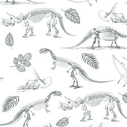 Fossils in Storm on White
