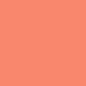 Solid in Persimmon