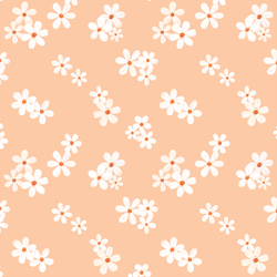 Daisies in Peach