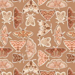 Moth to a Flame in Walnut