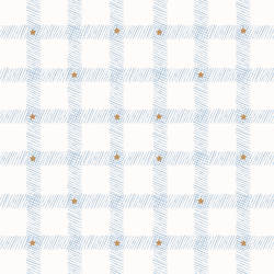 Starry Gingham in Frost Blue