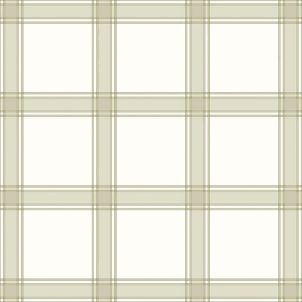 Homespun Plaid in Laurel Green