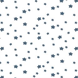 Star Light in Twilight on White