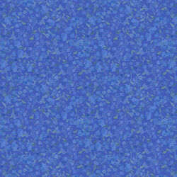 Forget-Me-Not in Blue