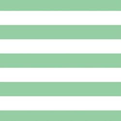 Horizontal Play Stripe in Sprout