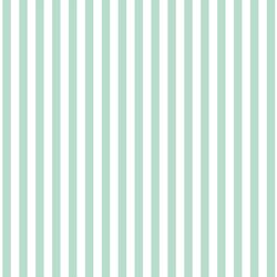 Dress Stripe in Mint