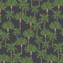 Prehistoric Forest in Slate