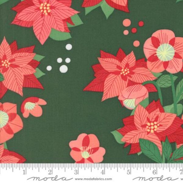 Poinsettia in Pine