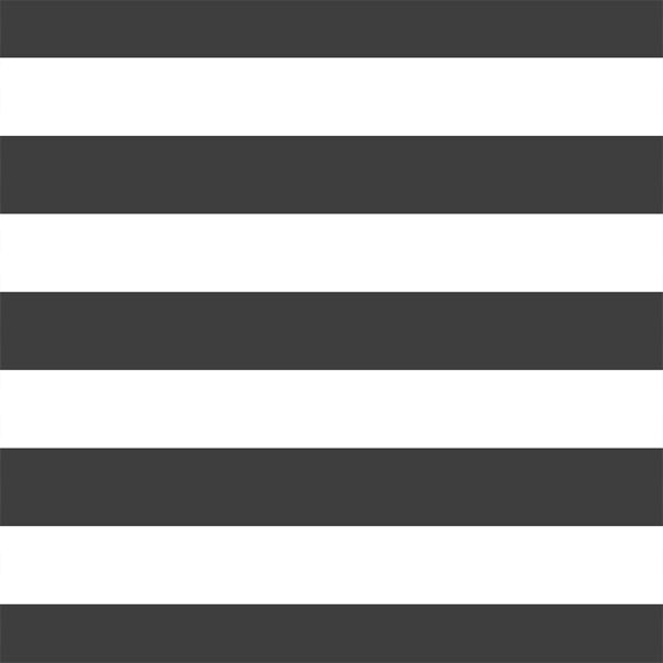 Horizontal Play Stripe in Onyx