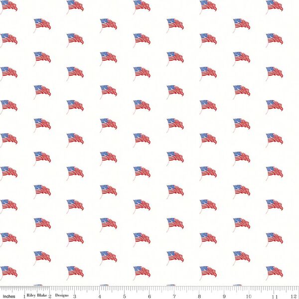 USA Flags in White