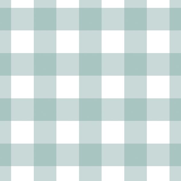 Large Gingham in North Shore