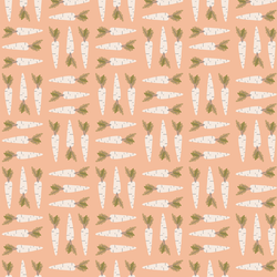 Carrot Check in Apricot Cream