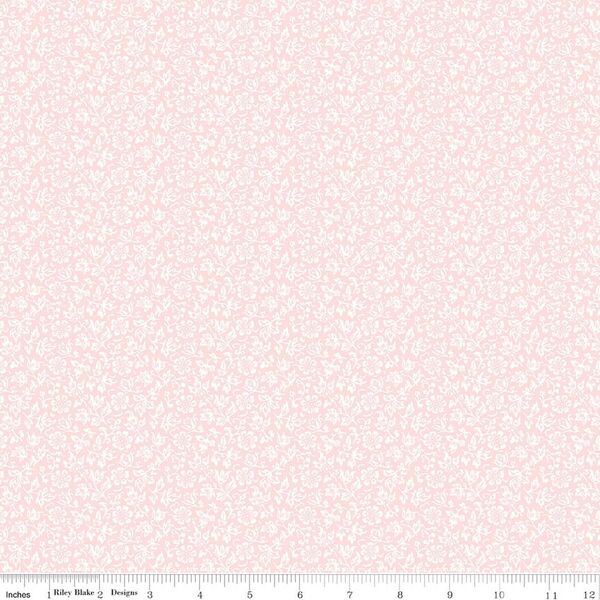 Sweet Alyssum in Pink