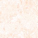 Paperie in Groovy Pumpkin on White