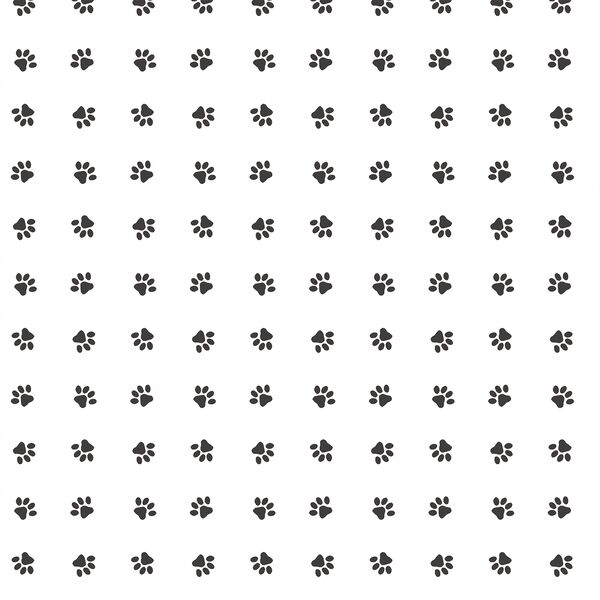 Paw Prints in Onyx