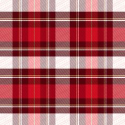 Plaid in Holly