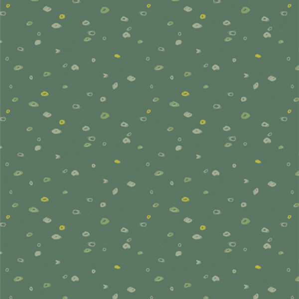 Seed Scatter in Forest
