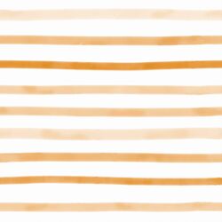 Soft Stripe in Pumpkin Patch