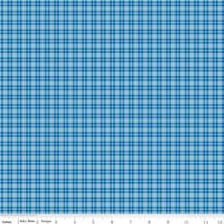 Plaid in Blue
