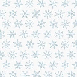 Snowfall in Frost on Snow