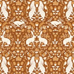 Rabbit Adventures in Acorn