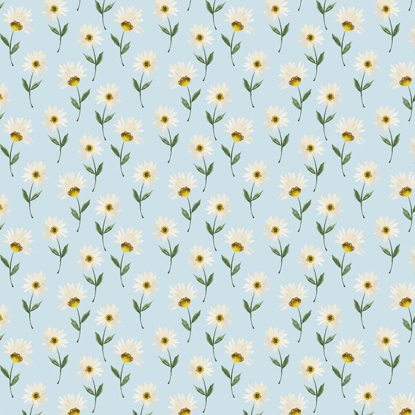Wild Daisy in Blue Sky