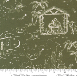 Guided By A Star in Holly