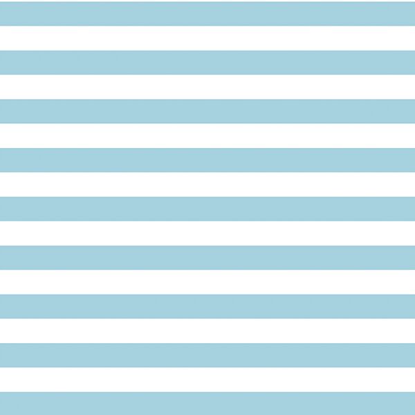 Horizontal Candy Stripe in Robins Egg