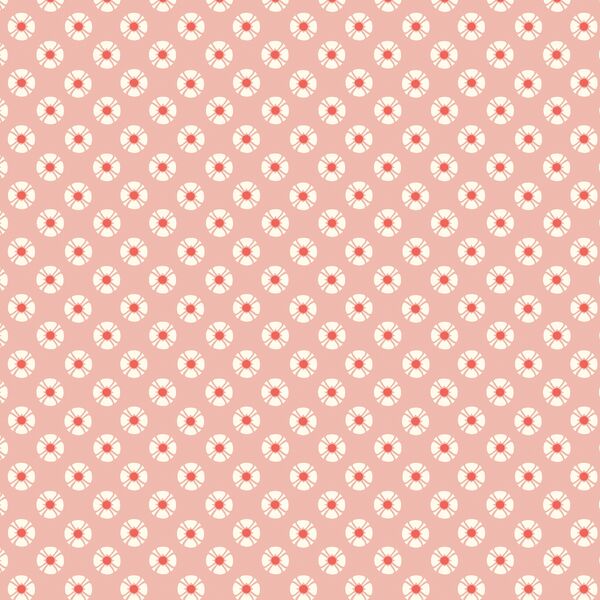 Sweet Daisy in Rosy