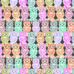 Owls in Night