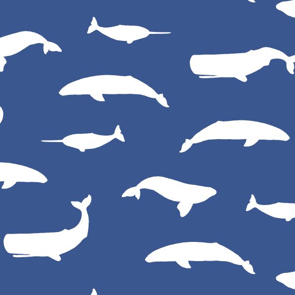 Whale Silhouette in Blue Jay