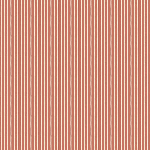 Little Stripe in Candy Cane