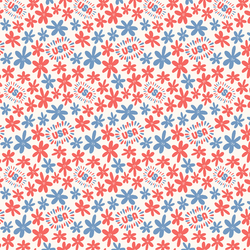 USA USA in Celebration