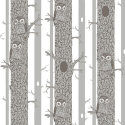 Night Owl in White