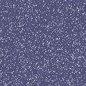 Stardust in Indigo