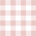 Buffalo Plaid in Blush