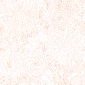 Paperie in Peach on White