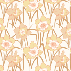 Daffodil Fields in Sweet Feeling