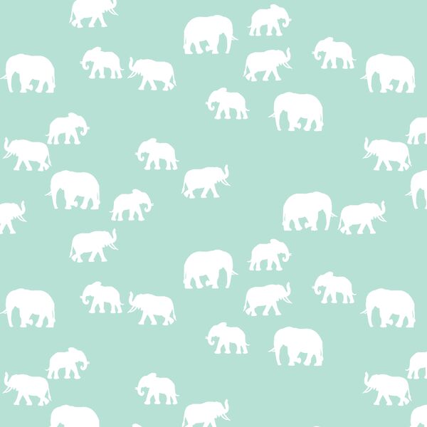 Elephant Silhouette in Aloe