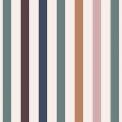 Large Rainbow Stripe in Vintage