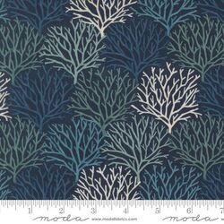 Coastal Coral in Deep Sea