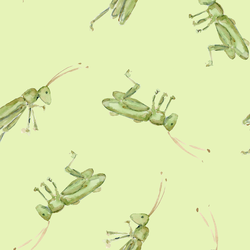 Large Grasshopper in Leafy