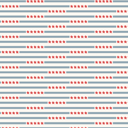 Star Spangled Stripes in Liberty