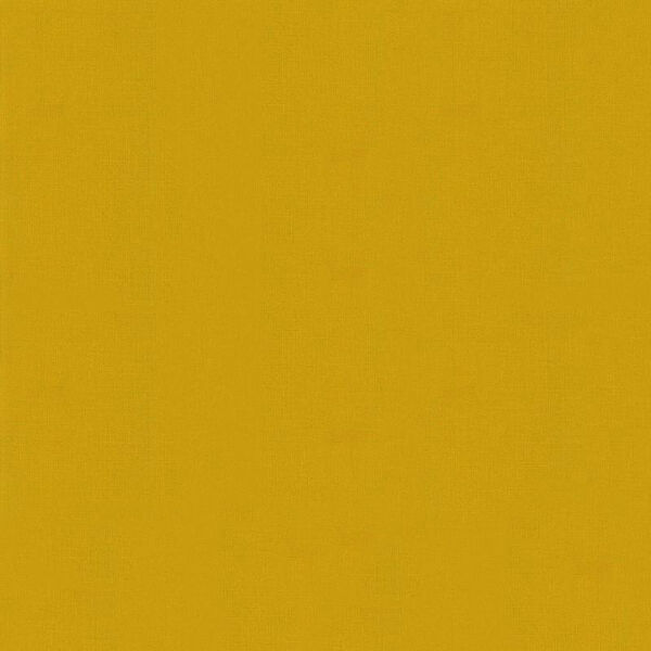 Bella Solids in Zest