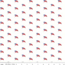 USA Flags in White