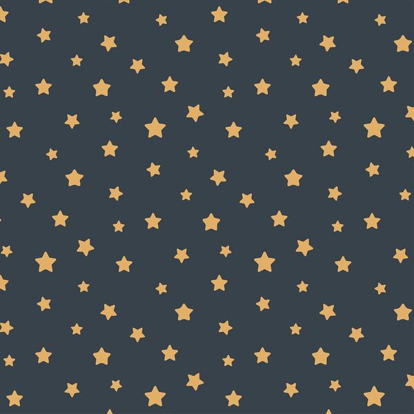 Stars in Midnight Sky