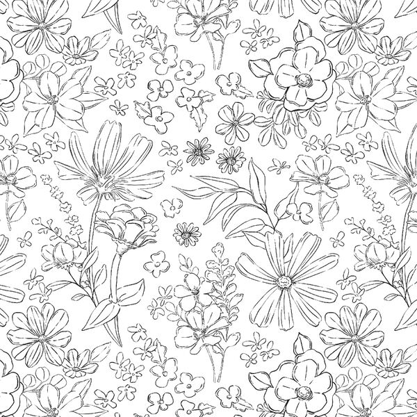 Wildflower Sketches in White